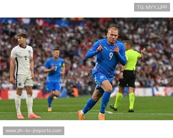 冰岛籍球员在英超联赛的表现及贡献 冰岛籍球员在英超联赛的表现及贡献